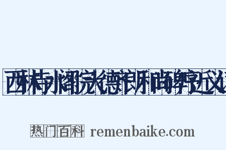 西林寺水阁院大德齐朗和尚碑序近义词是什么意思的图片